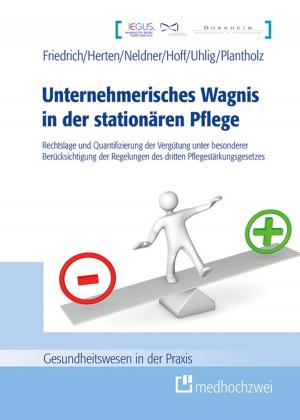 Cover of the book Unternehmerisches Wagnis in der stationären Pflege by Lutz Frankenstein, Tobias Täger, Martin Andrassy