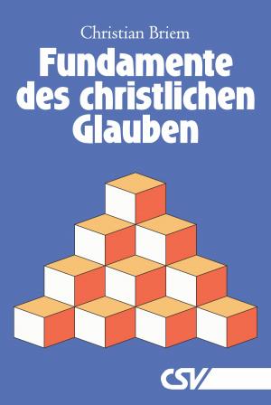 Cover of the book Fundamente des christlichen Glauben by Arend Remmers