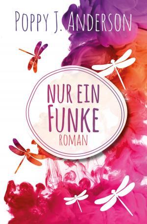 Cover of Nur ein Funke