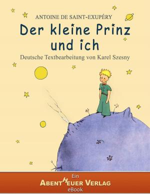Cover of the book Der kleine Prinz und ich by Devin Harnois