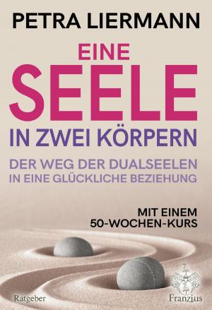Cover of the book Eine Seele in zwei Körpern by Petra Liermann