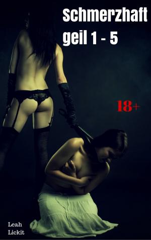 Cover of the book Schmerzhaft geil 1 - 5 by Leah Lickit
