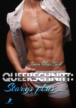 Cover of the book Queerschnitt: Storys plus ... by Sandra Busch