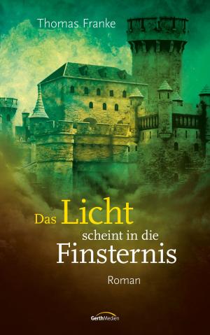 Cover of the book Das Licht scheint in die Finsternis by Mickey Robinson
