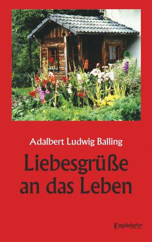 Cover of the book Liebesgrüße an das Leben by Carolina Dorn