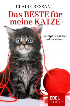 Cover of the book Das Beste für meine Katze by Rebecca Maly