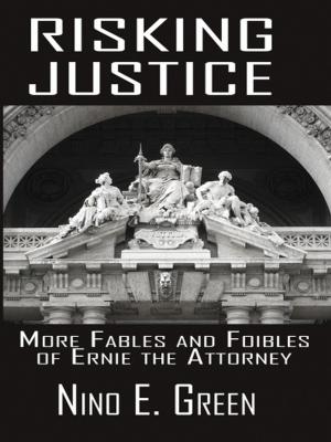 Book cover of Risking Justice