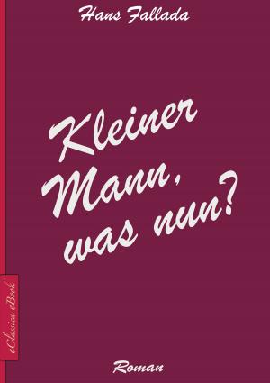 Cover of Kleiner Mann, was nun?