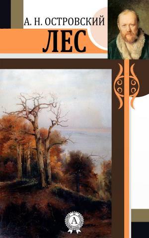 Cover of the book Лес by Блаженный Августин