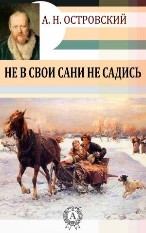 Cover of the book Не в свои сани не садись by Александр Сергеевич Пушкин