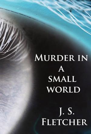 Cover of the book Murder in a small world by Alfred Schirokauer