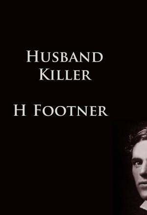Cover of the book Husband Killer by Hans Dominik