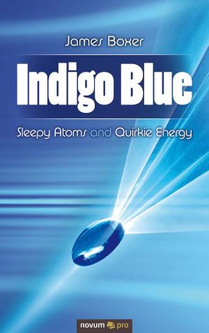 Cover of the book Indigo Blue by Jonathan Saunders
