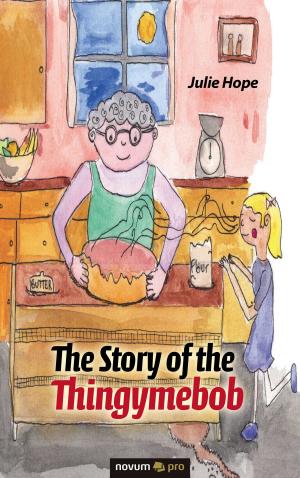 Cover of the book The Story of the Thingymebob by Sarah Allison