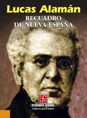 Cover of the book Recuadro de Nueva España by Juan Ruiz de Alarcón