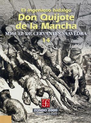 Book cover of El ingenioso hidalgo don Quijote de la Mancha, 14