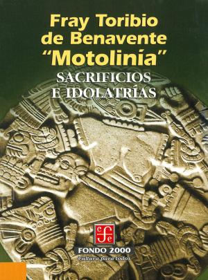 Cover of the book Sacrificios e idolatrías by Carmen Leñero