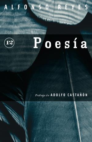Cover of the book Poesía by Amparo Dávila