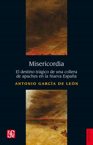 Cover of the book Misericordia by Alberto Pérez-Amador Adam
