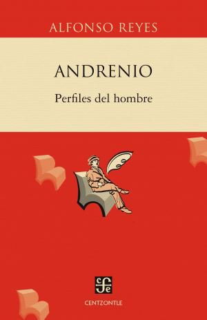 Cover of the book Andrenio: Perfiles del hombre by Isaac Schifter, Carmen González-Macías