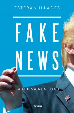Book cover of Fake News