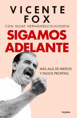 Cover of the book Sigamos adelante by Sofía Guadarrama Collado