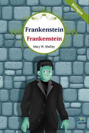 Book cover of Frankenstein