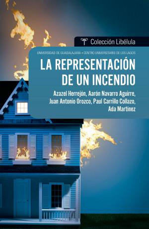 Book cover of La representación de un incendio
