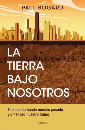 Cover of the book La tierra bajo nosotros by Fernando Montero