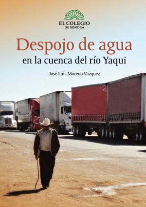 Cover of the book Despojo de agua en la cuenca del río yaqui by Jesús Haro, Rubén Calderón, Álex Covarrubias, Jesús Mada, Paul Hersch, Juan Ramos