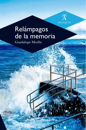 Cover of the book Relámpagos de la memoria by Teófilo Guerrero