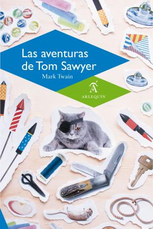 Cover of the book Las aventuras de Tom Sawyer by James Joyce, Juan Díaz Victoria
