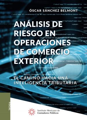 Cover of the book Análisis de riesgo en operaciones de comercio exterior by Comisión Representativa ante Organismos de Seguridad Social CCPM
