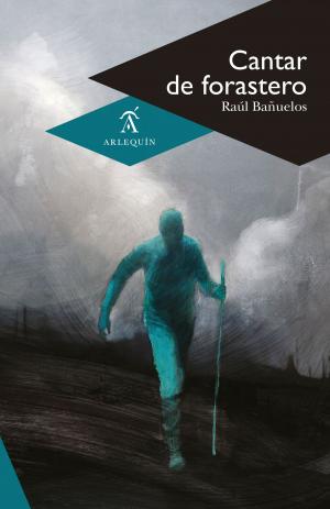 Cover of the book Cantar de forastero by James Joyce, Juan Díaz Victoria