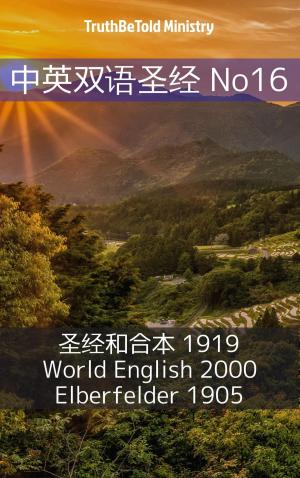 Book cover of 中英双语圣经 No16