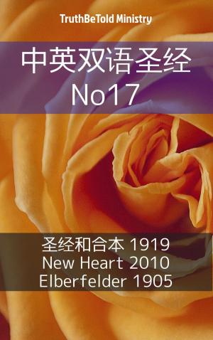 Book cover of 中英双语圣经 No17