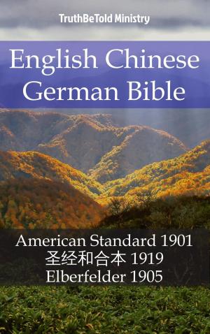 Cover of English Chinese German Bible