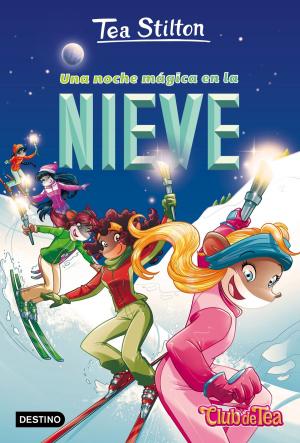 Cover of the book Una noche mágica en la nieve by Anna Llenas, Paloma Sánchez Ibarzabal