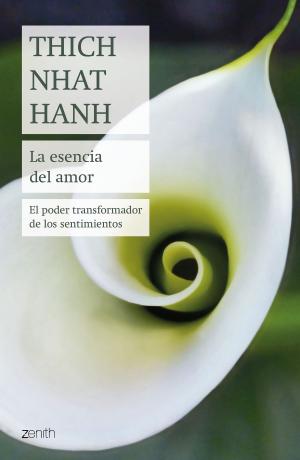 Cover of the book La esencia del amor by Moruena Estríngana