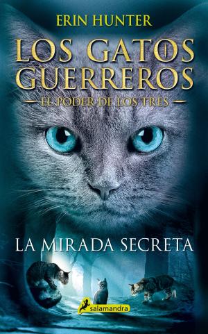 Cover of La mirada secreta