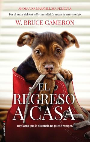 Cover of the book La razón de estar contigo. El regreso a casa (Usa) by Amelia Noguera