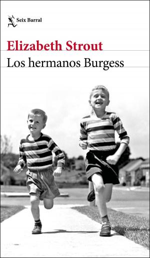 Cover of the book Los hermanos Burgess by Violeta Denou