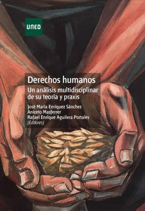 Cover of the book Derechos humanos. Un análisis multidisciplinar de su teoría y praxis by Antonio Medina Rivilla, Mª Concepción Domínguez Garrido, Agustín de la Herrán Gascón
