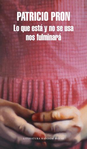 Cover of the book Lo que está y no se usa nos fulminará by Roberto Pavanello