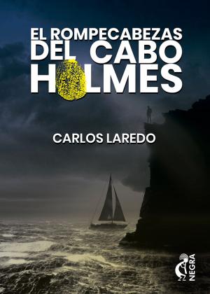 Cover of El rompecabezas del cabo Holmes