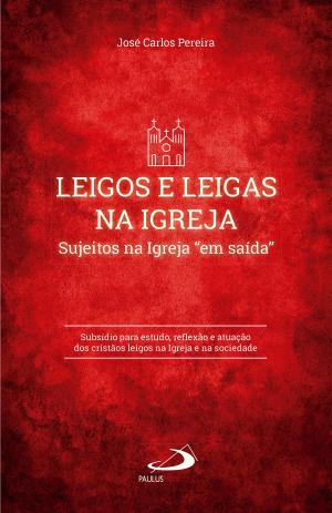 Cover of the book Leigos e Leigas na Igreja by Lima Barreto