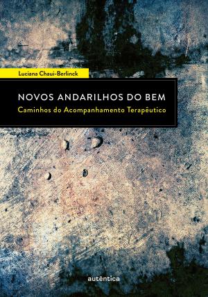 Cover of the book Novos Andarilhos do Bem - Caminhos do Acompanhamento Terapêutico by Mariza Guerra de Andrade