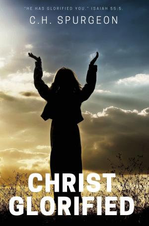 Cover of the book Christ Glorified by Victoria Mason