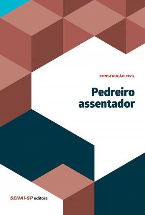 Cover of the book Pedreiro assentador by Luiz Sérgio Galleti, Rodrigo Venturini Soares