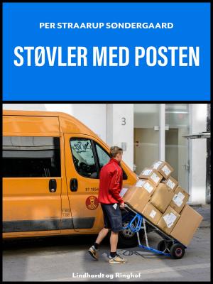 Cover of the book Støvler med posten by Herman Frederik Ewald